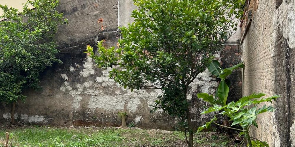 Imagem-do-WhatsApp-de-2025-10-21-as-11.13.49_e2a4f0a6
